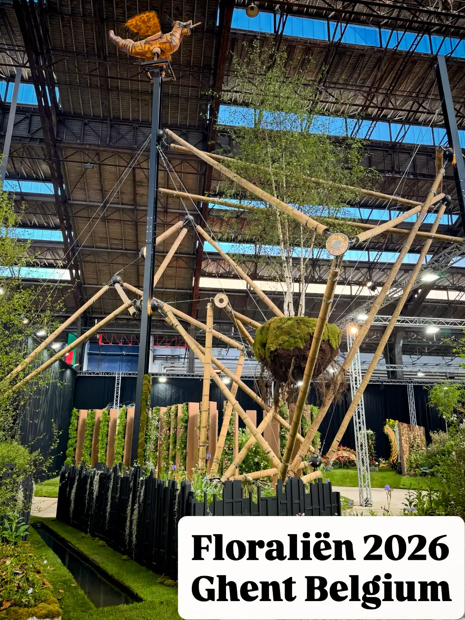 Estructura de Tensegridad en Bambú Guadua en Floraliën 2026 en Gante, Bélgica