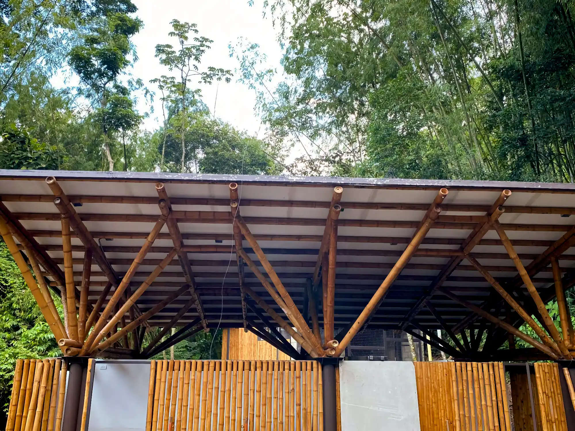 Estructuras en Guadua Bambú en el Parque Cerro Tusa