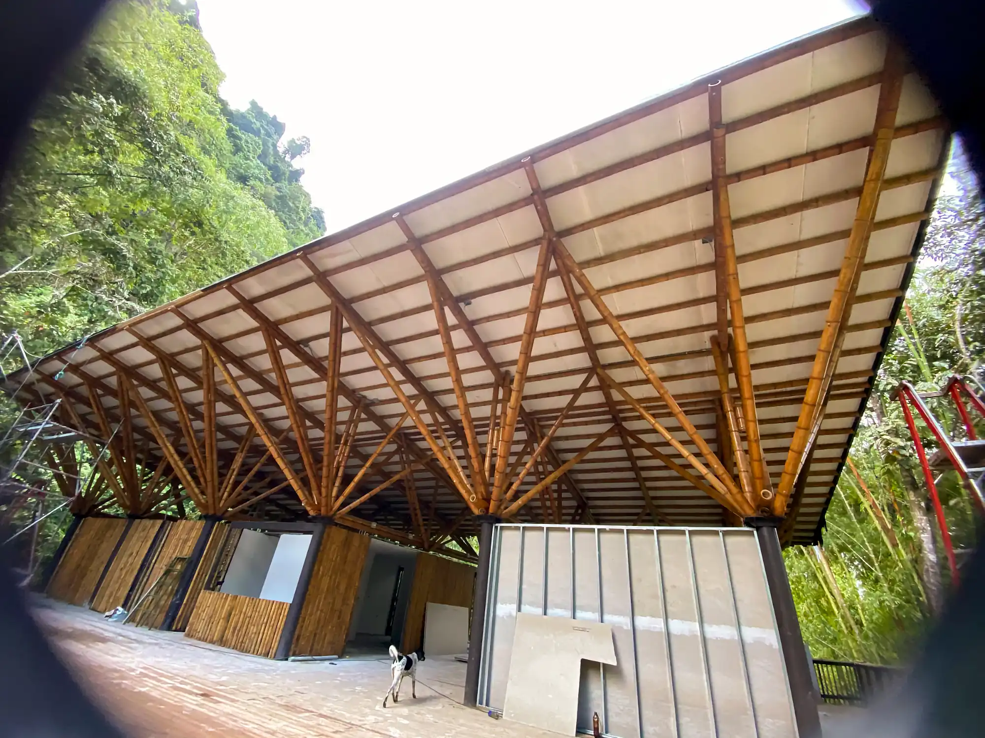 Estructuras en Guadua Bambú en el Parque Cerro Tusa