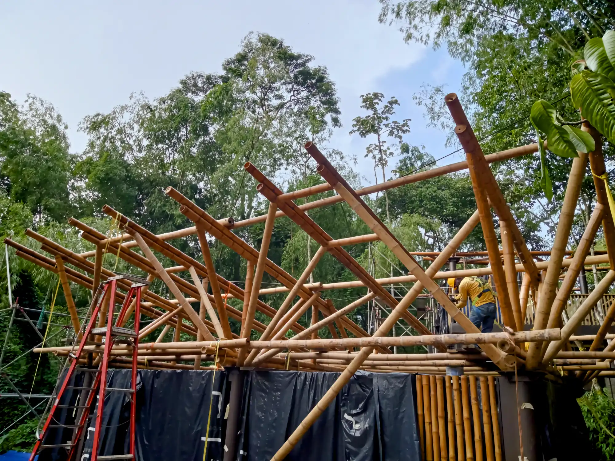 Estructuras en Guadua Bambú en el Parque Cerro Tusa
