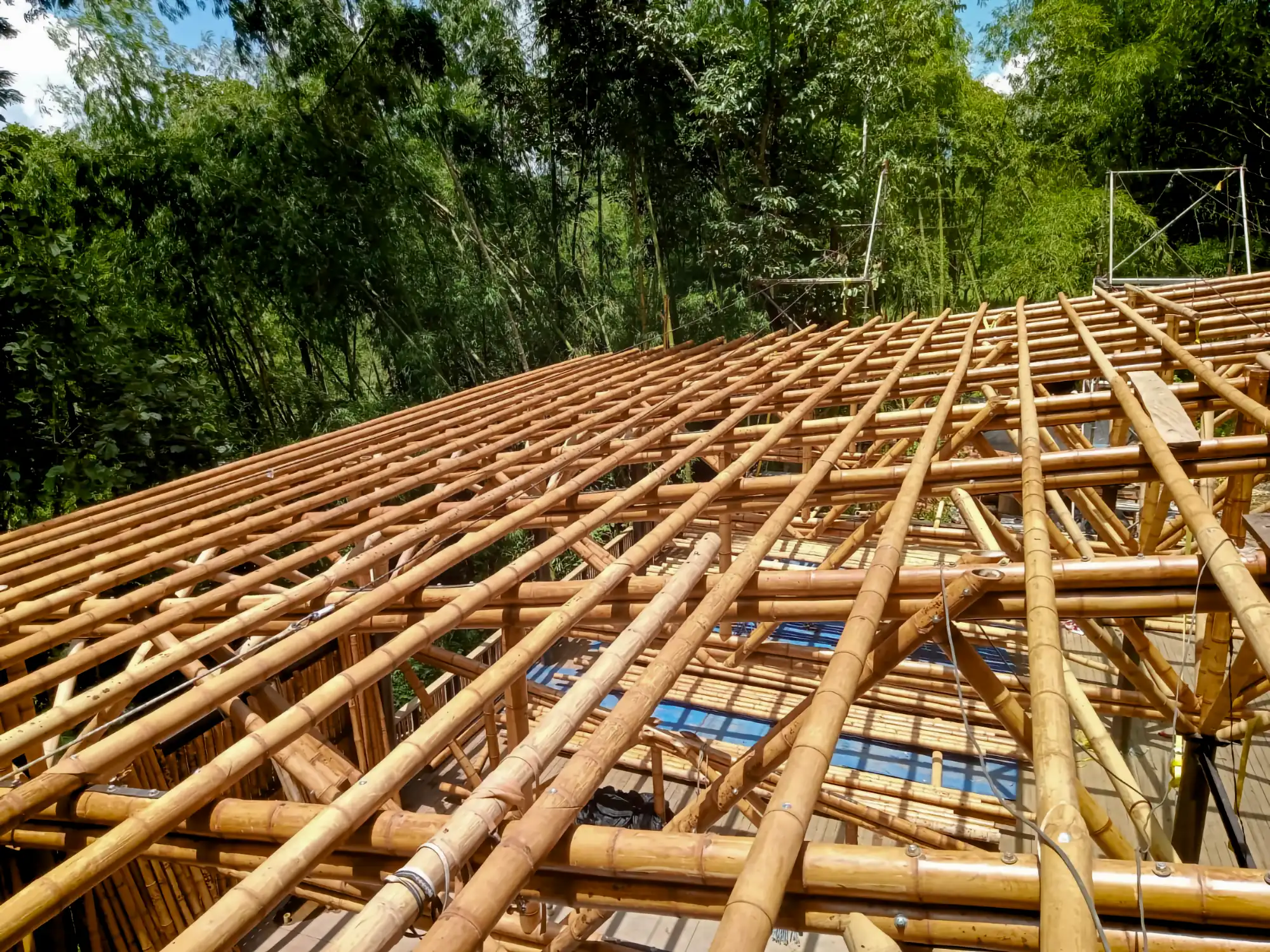 Estructuras en Guadua Bambú en el Parque Cerro Tusa
