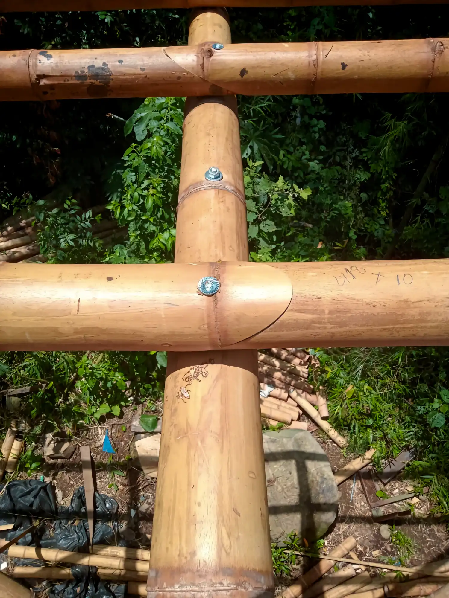 Estructuras en Guadua Bambú en el Parque Cerro Tusa