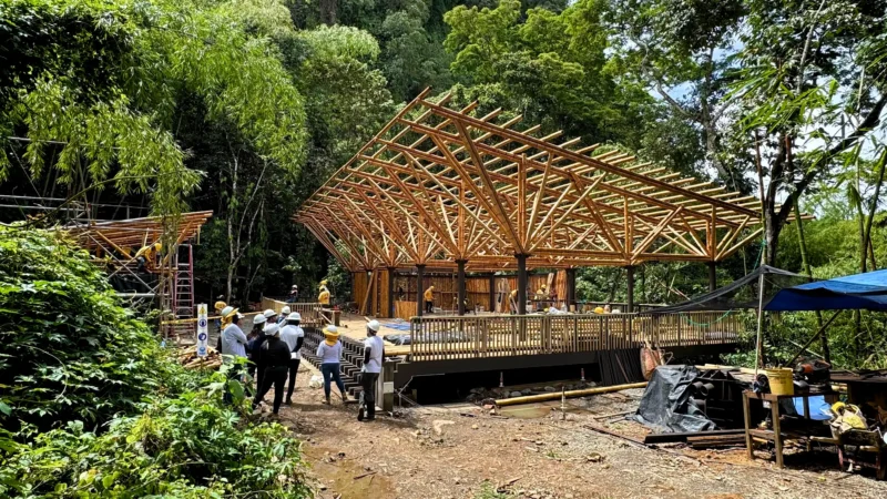 Estructuras en Guadua Bambú en el Parque Cerro Tusa