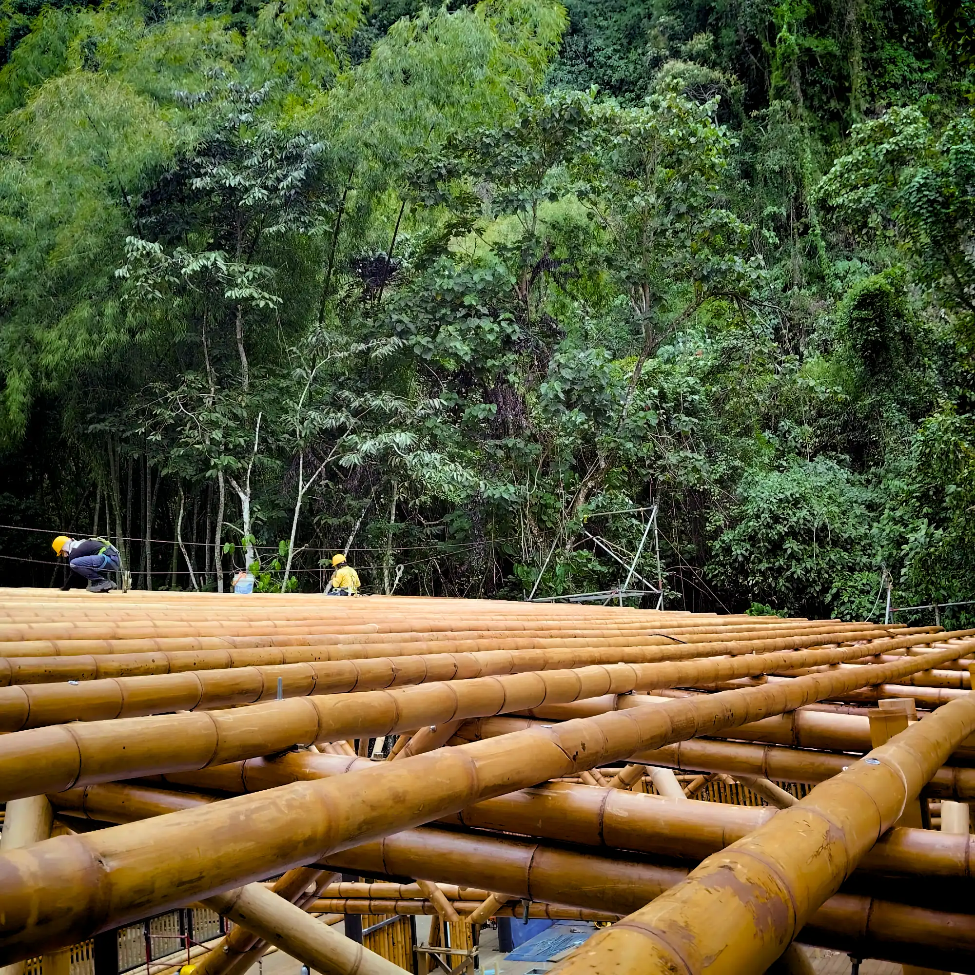 Estructuras en Guadua Bambú en el Parque Cerro Tusa