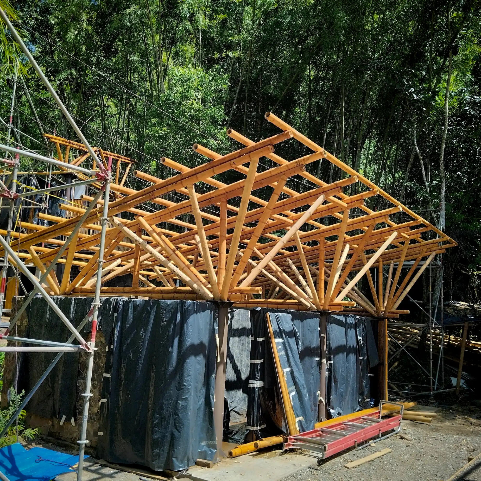 Estructuras en Guadua Bambú en el Parque Cerro Tusa