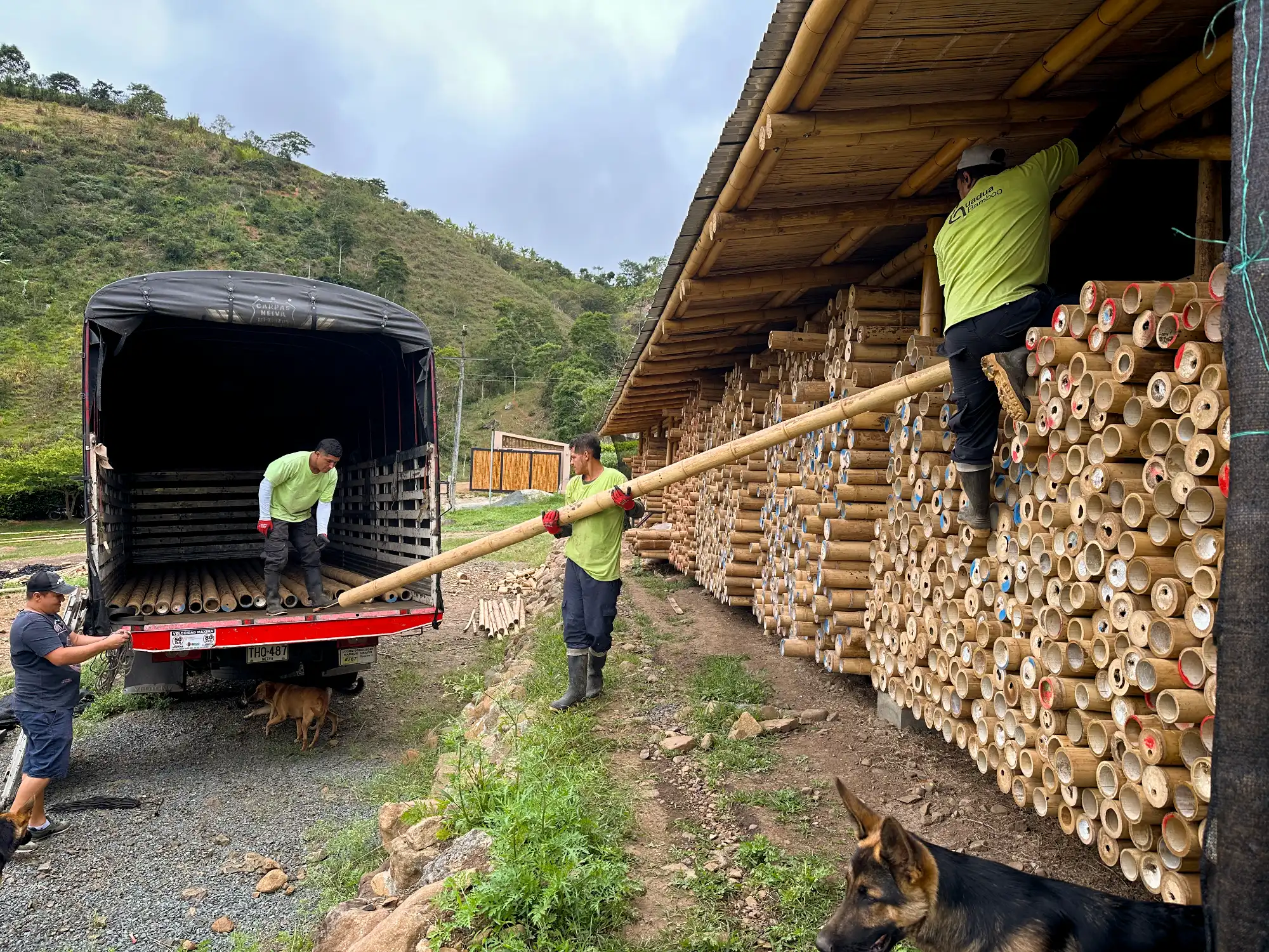 Estructuras en Guadua Bambú en el Parque Cerro Tusa
