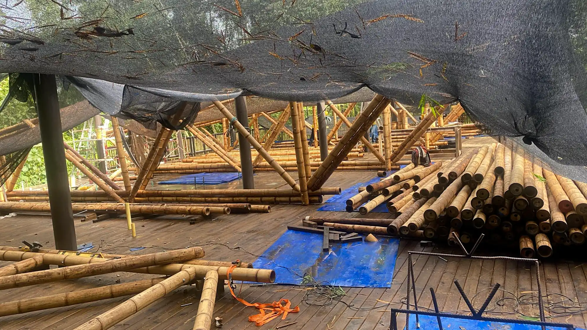 Estructuras en Guadua Bambú en el Parque Cerro Tusa