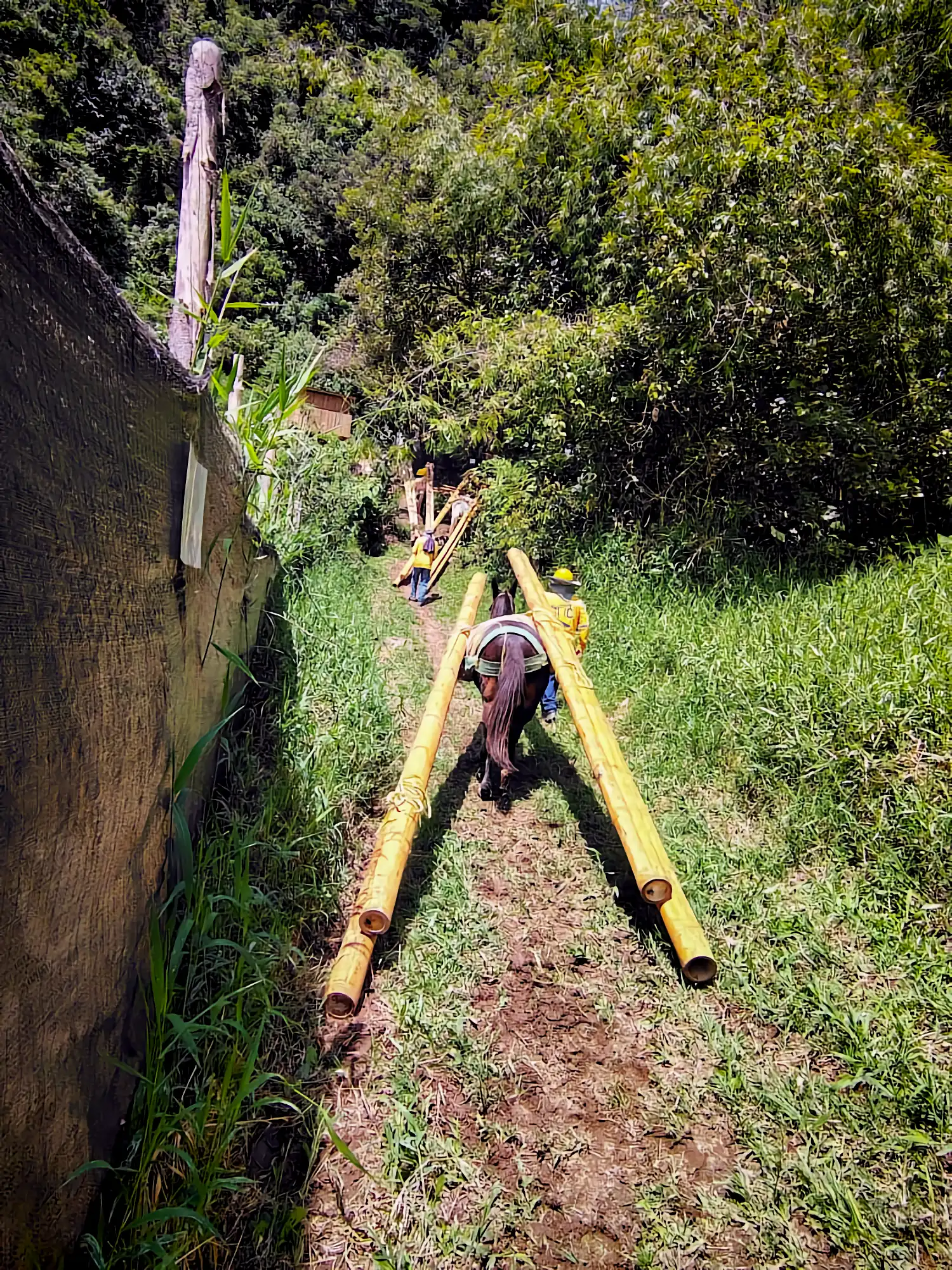 Estructuras en Guadua Bambú en el Parque Cerro Tusa