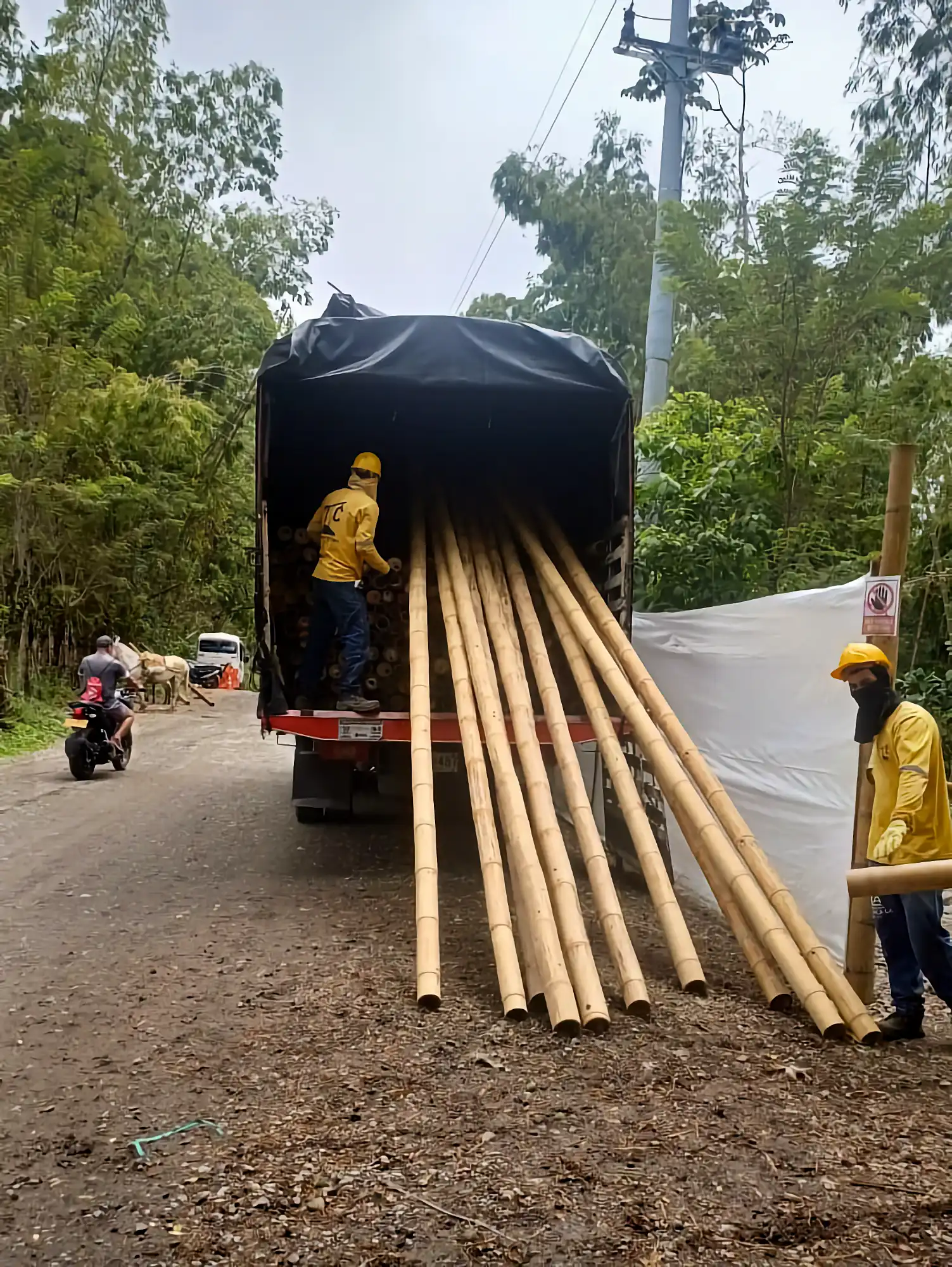 Estructuras en Guadua Bambú en el Parque Cerro Tusa