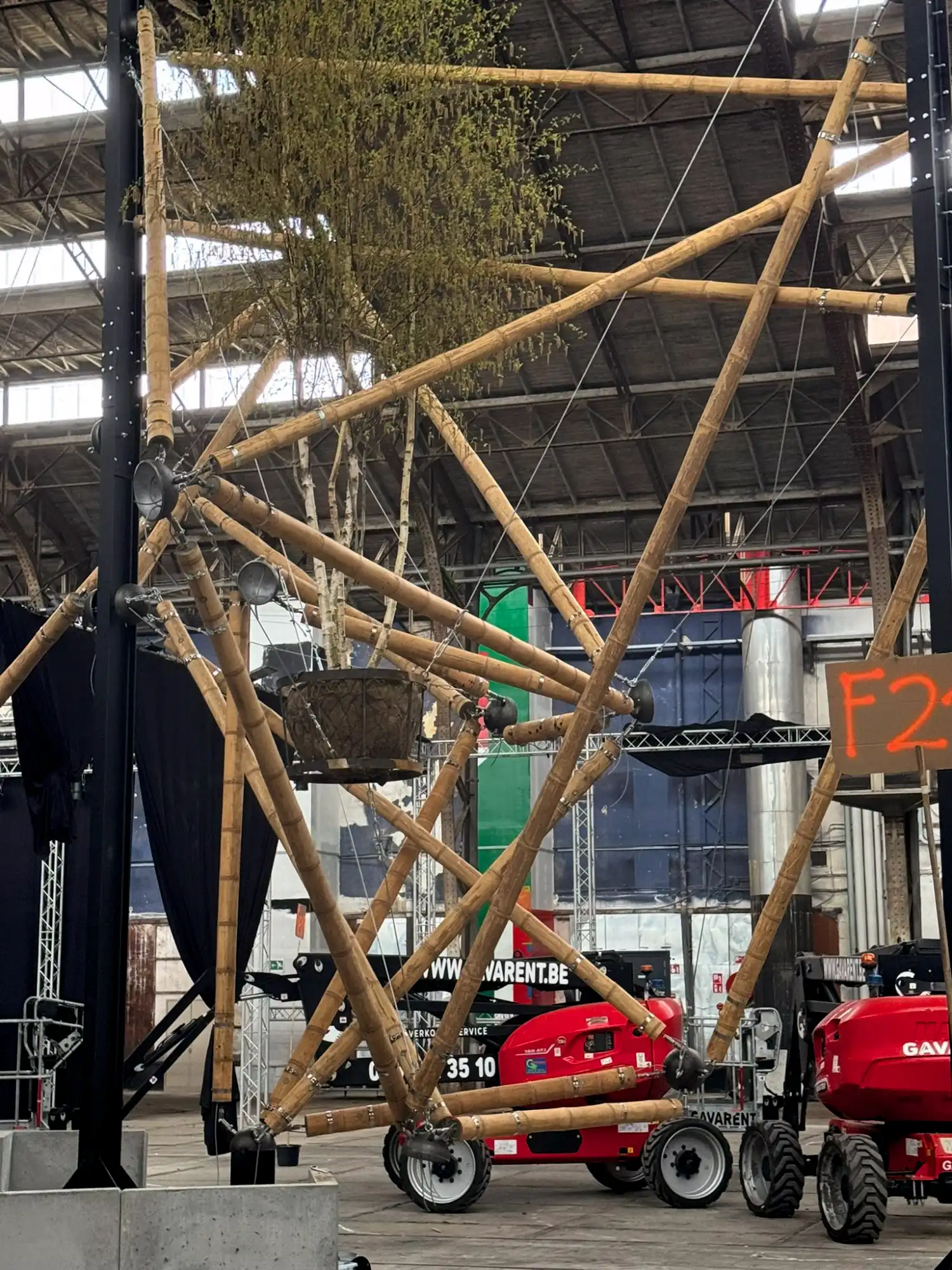 Instalación de Tensegridad en Bambú Guadua en Floraliën 2026 en Gante, Bélgica