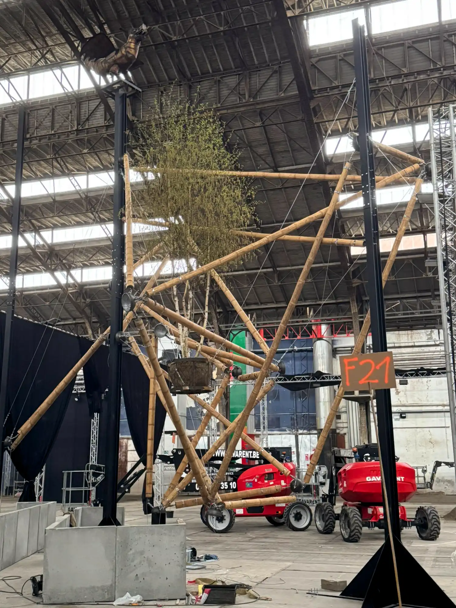 Instalación de Tensegridad en Bambú Guadua en Floraliën 2026 en Gante, Bélgica