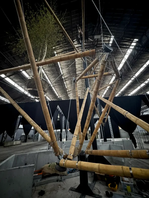 Instalación de Tensegridad en Bambú Guadua en Floraliën 2026 en Gante, Bélgica